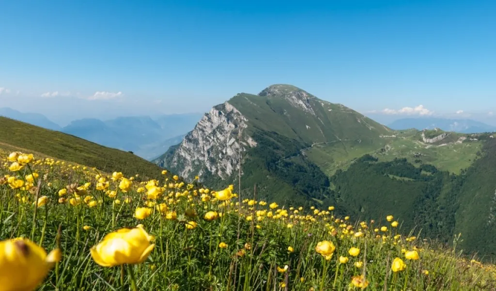 Il Monte Baldo, una perla unica tra le montagne del Veneto