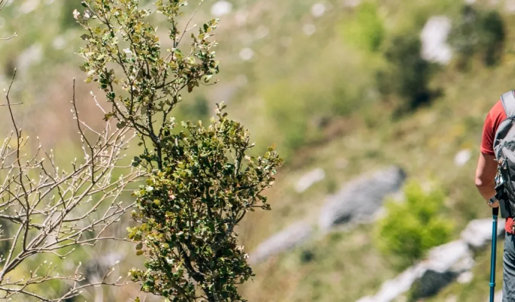 Trekking in estate: 10 consigli per l’abbigliamento da montagna più adatto